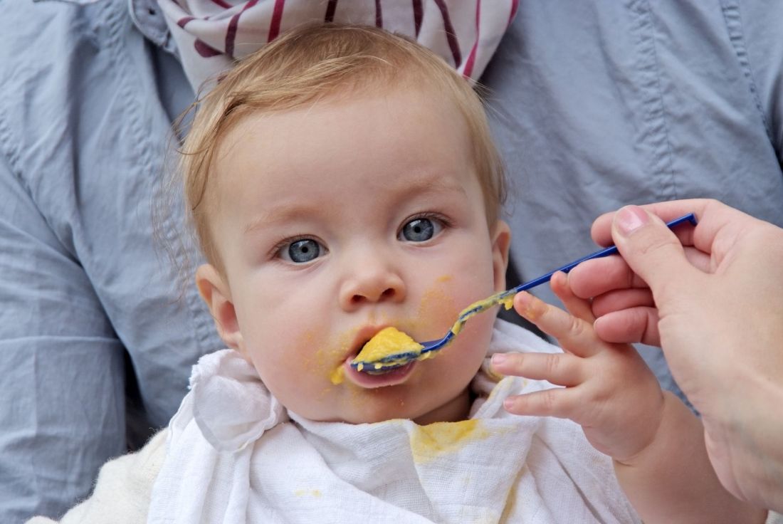 Eltern füttern ihr Baby mit Beikost aus dem Hochleistungsmixer.